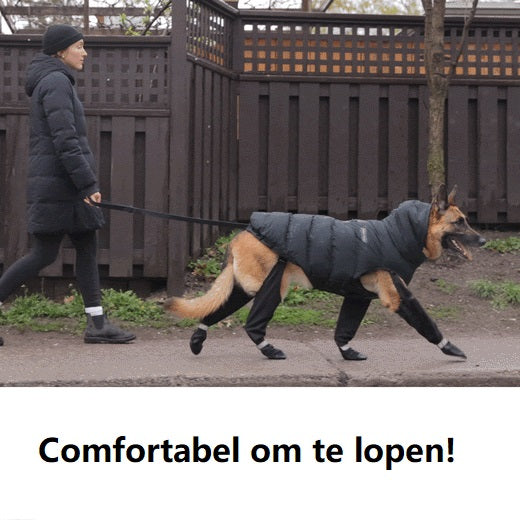 All-Weather Dog Boots - Protective Paw Guards