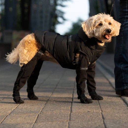 All-Weather Dog Boots - Protective Paw Guards