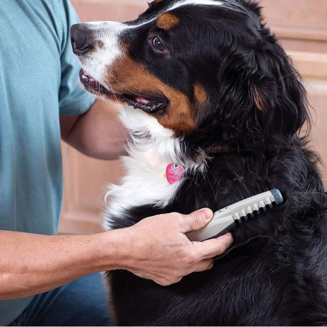 Knot-Free Pet Trimmer – Gentle Coat Care for Dogs & Cats
