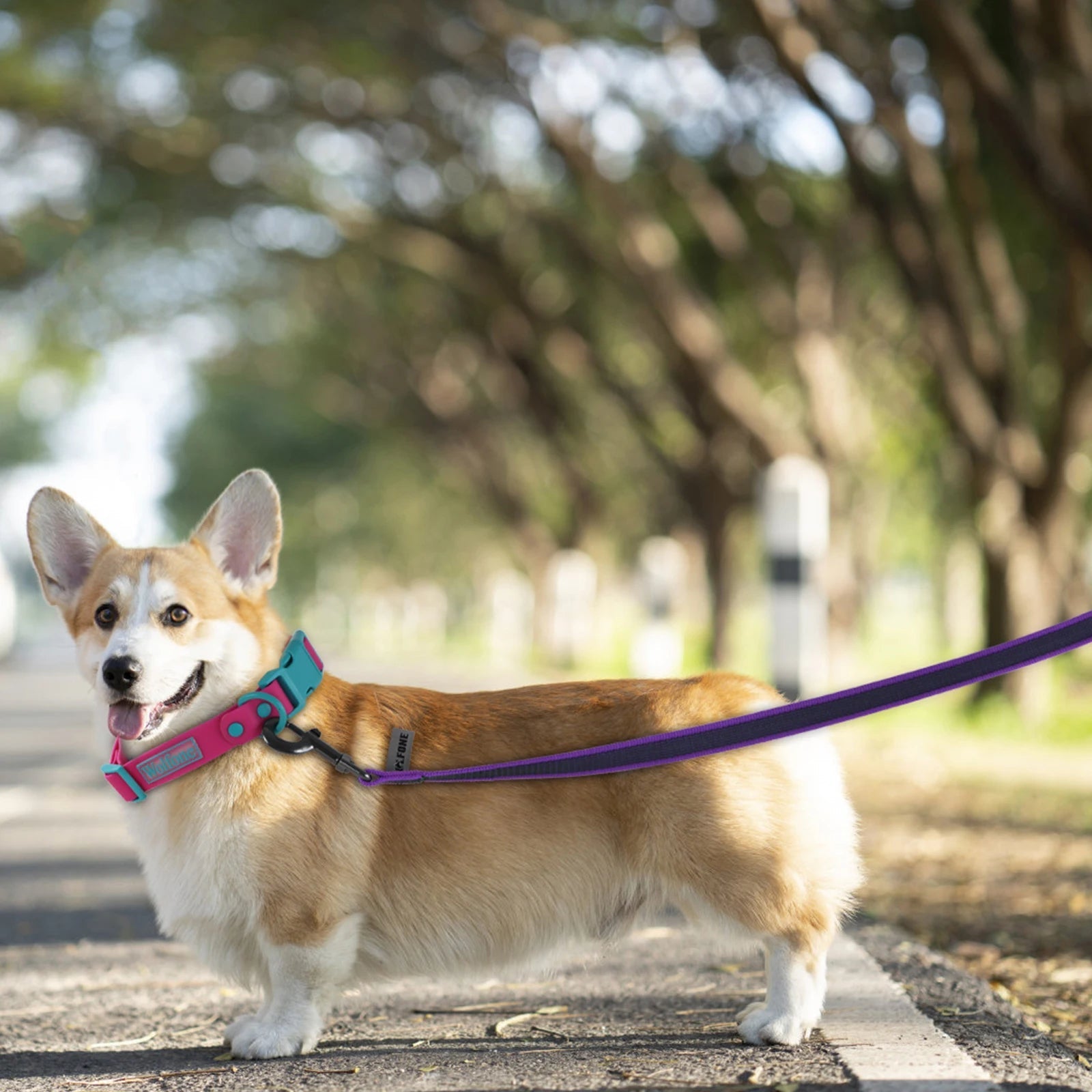 Extra Long Waterproof Dog Lead with Comfy Handle