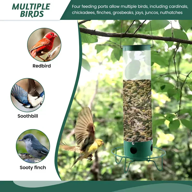 Heavy-Duty Squirrel-Proof Bird Feeder - Metal Design