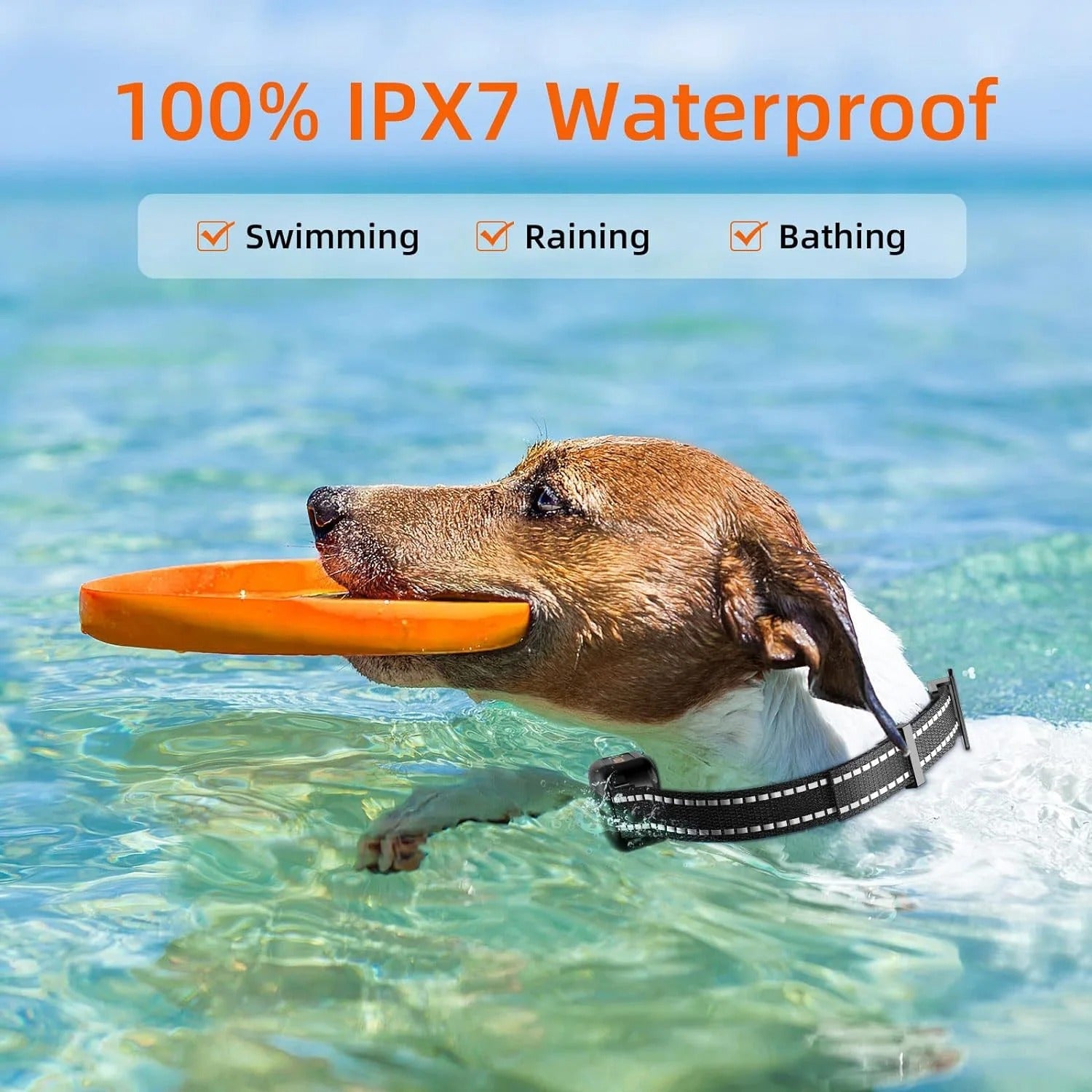 Waterproof Rechargeable 1000m Dog Training E-Collar