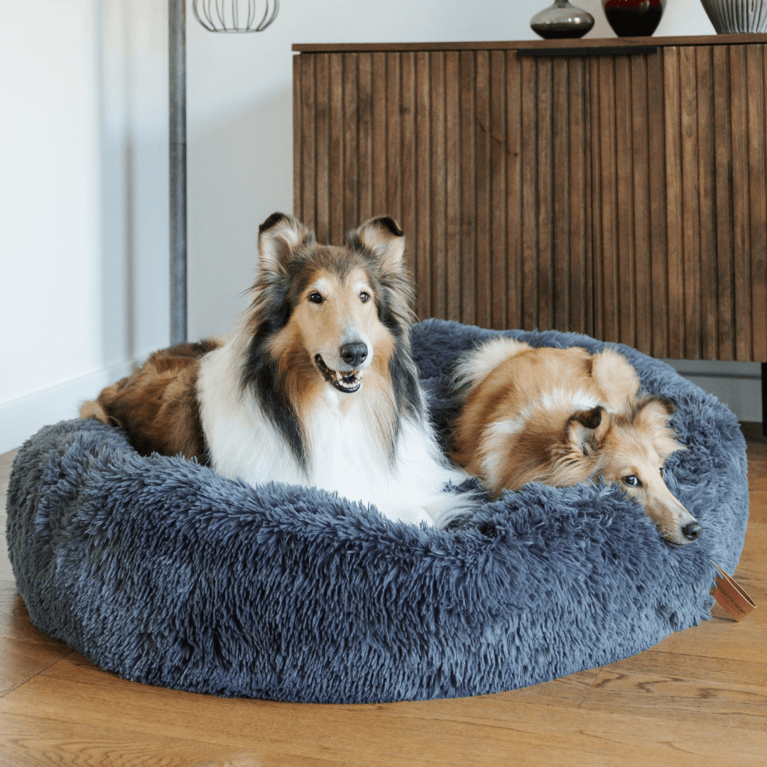 Cosy Donut Dog Bed with Raised Rim - Calming Comfort