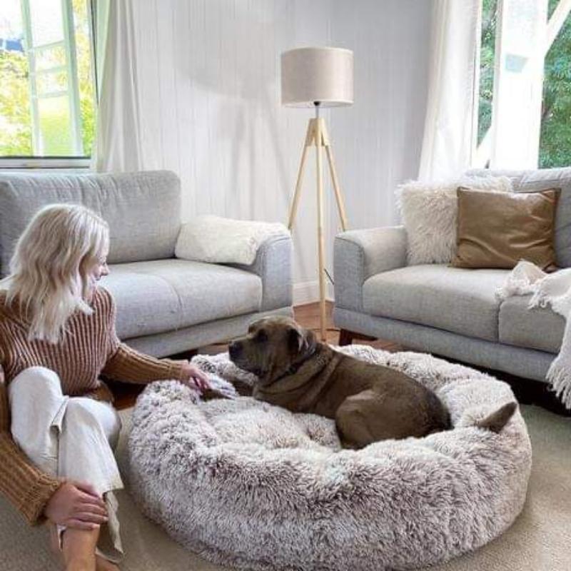 Cosy Donut Dog Bed with Raised Rim - Calming Comfort