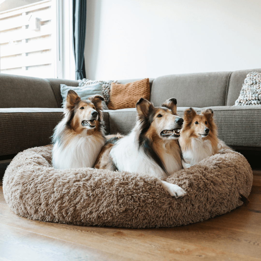Cosy Donut Dog Bed with Raised Rim - Calming Comfort