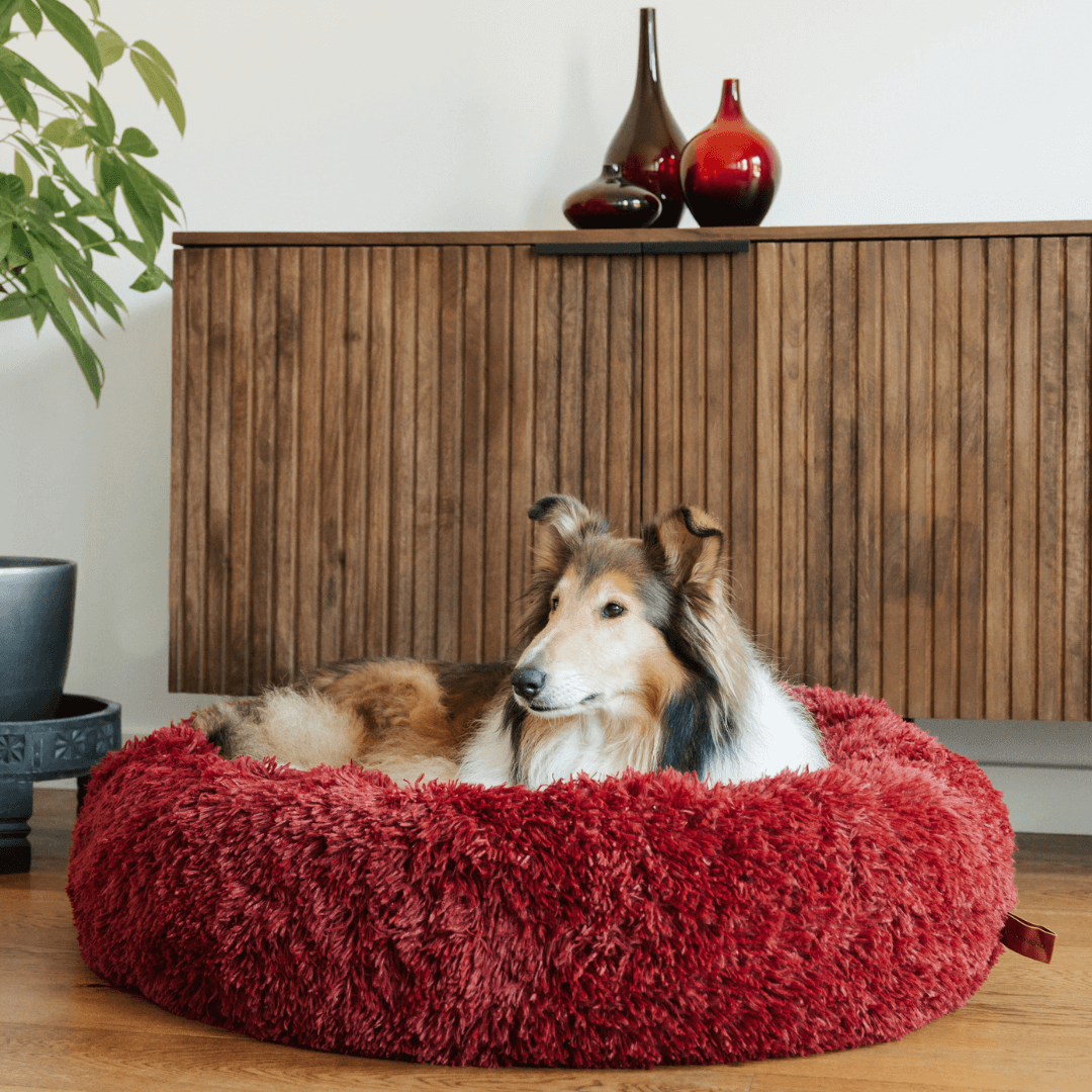 Cosy Donut Dog Bed with Raised Rim - Calming Comfort