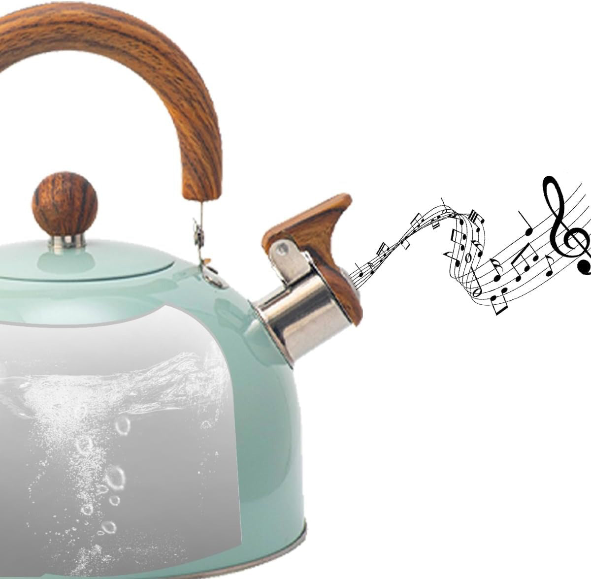Stainless Steel Whistling Kettle with Insulated Handle