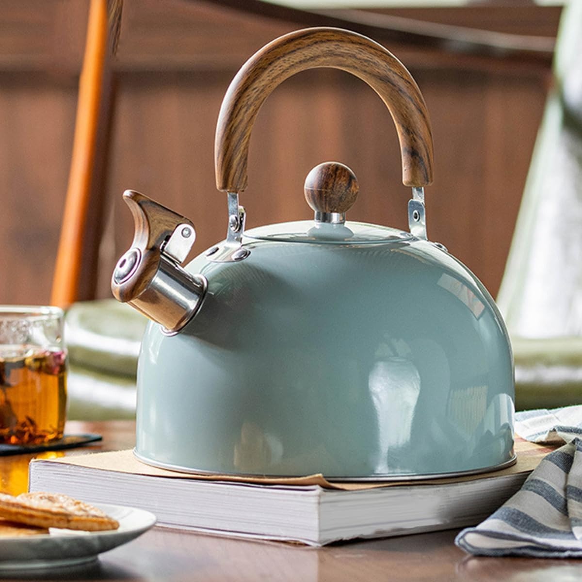 Stainless Steel Whistling Kettle with Insulated Handle