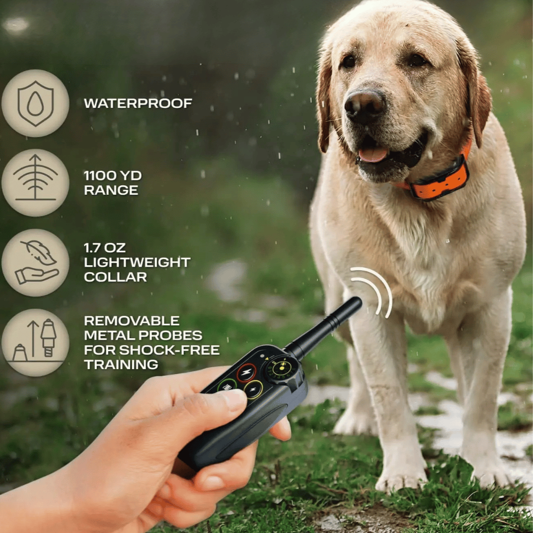 Long Range 1000m Waterproof Dog Training E-Collar