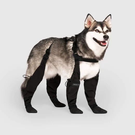 All-Weather Dog Boots - Protective Paw Guards