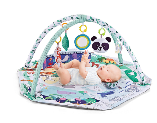 8-in-1 Baby Activity Play Mat - Sensory Development Center