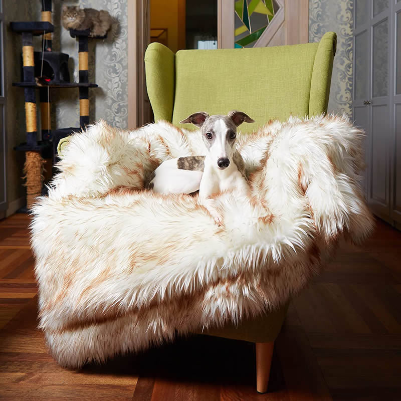 Unisex Cosy Snuggle Blanket - Soft & Warm for Sofa or Bed