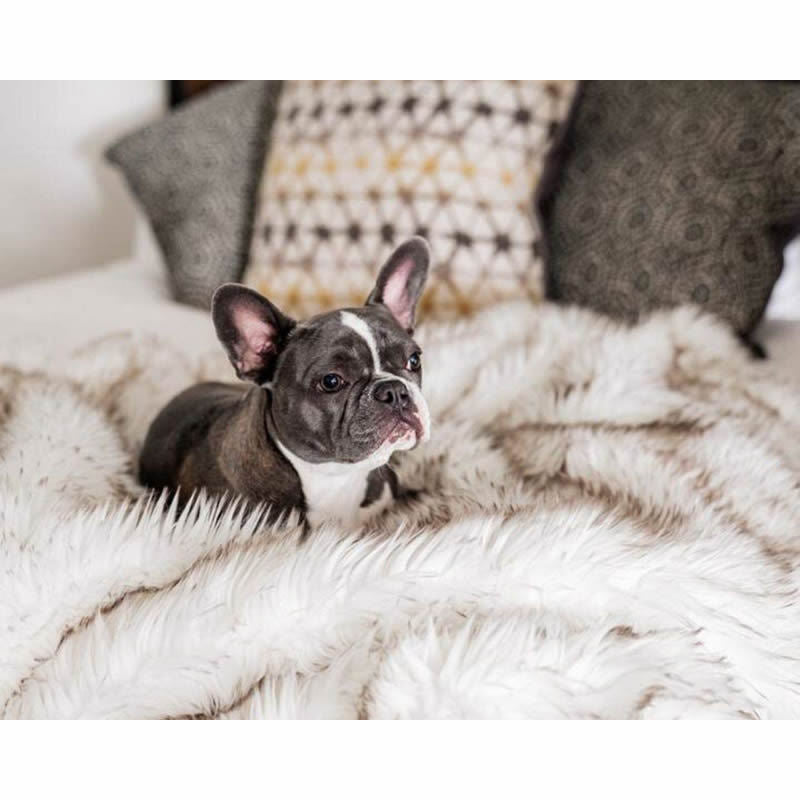 Unisex Cosy Snuggle Blanket - Soft & Warm for Sofa or Bed