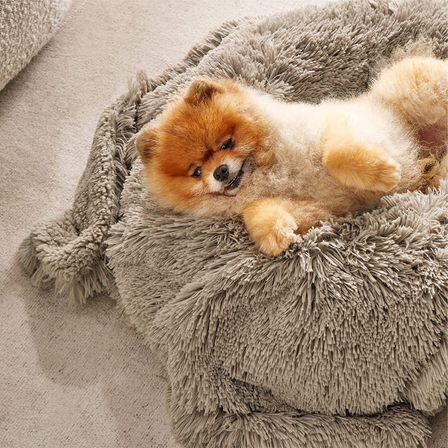 Women's 100% Fleece Cuddle Throw Blanket