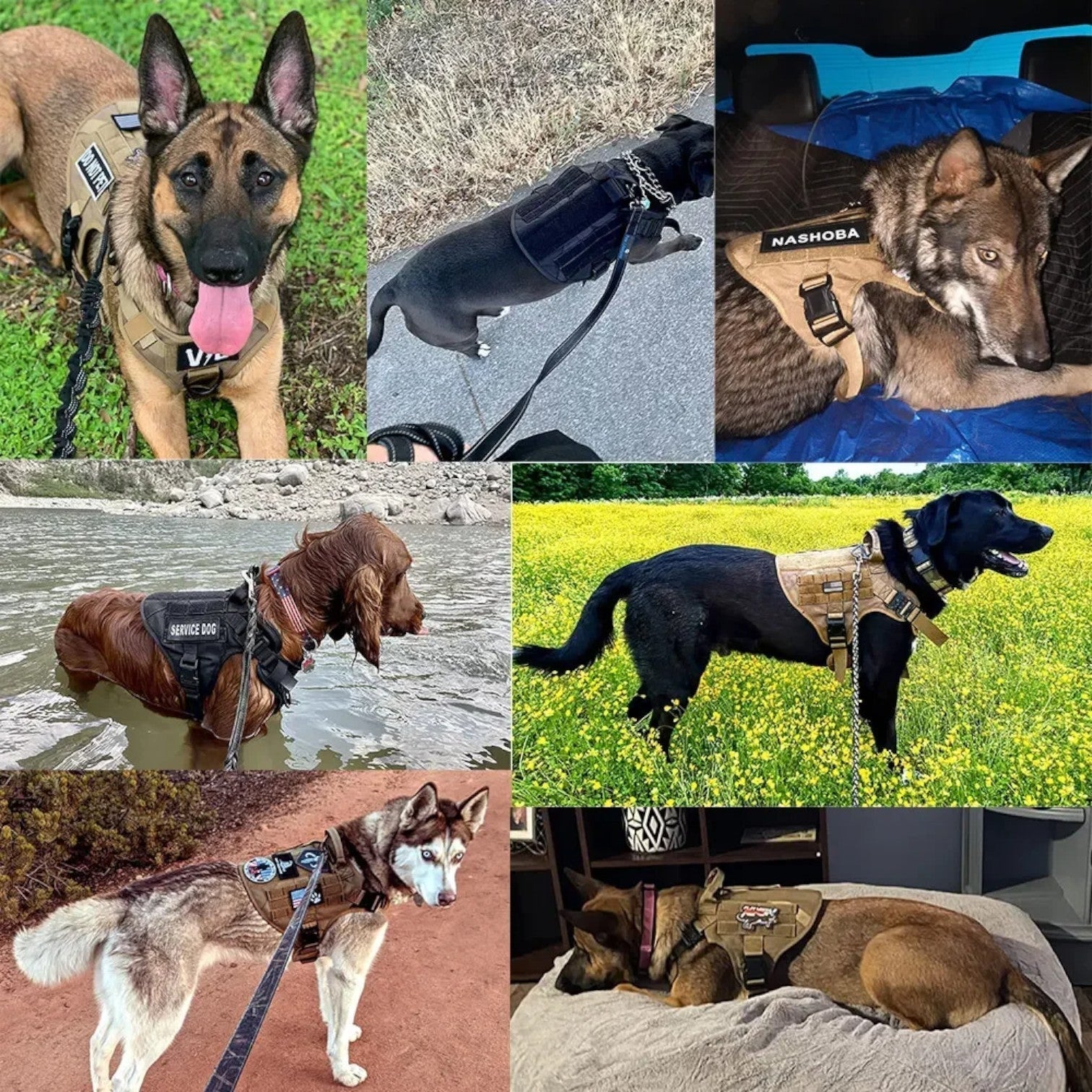 Tactical Dog Training Harness with Quick-Release Handle