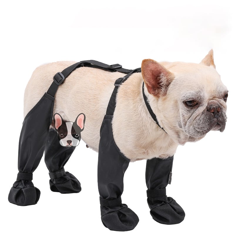 All-Weather Dog Boots - Protective Paw Guards