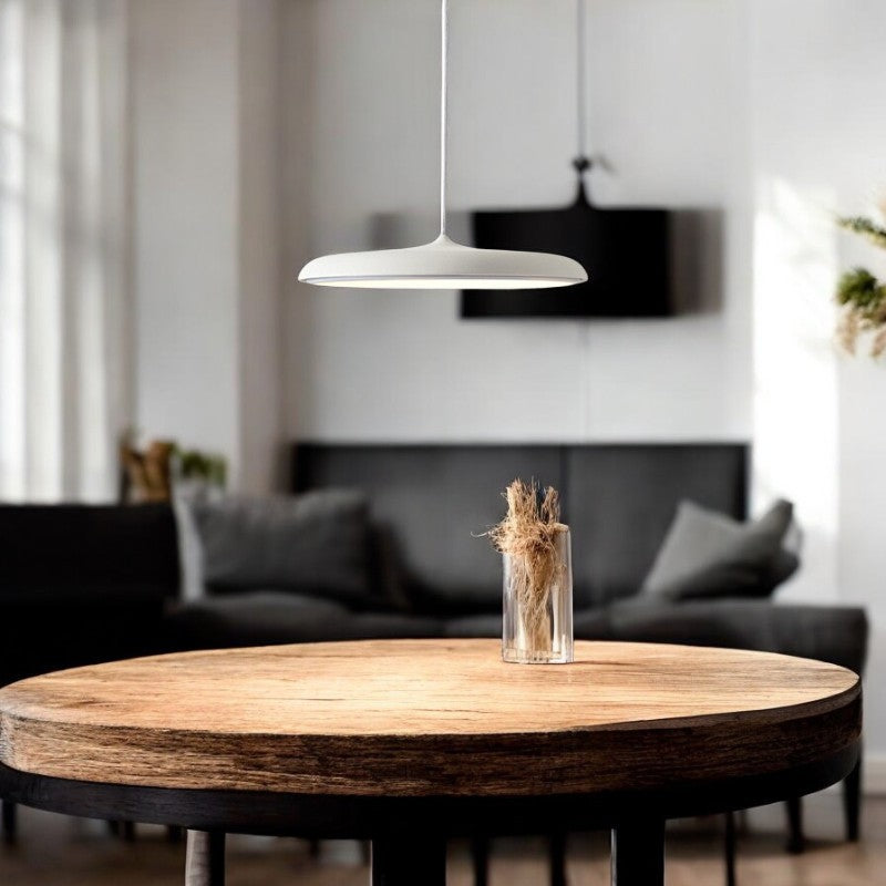 Scandinavian LED Pendant Light - Metal & Acrylic Design