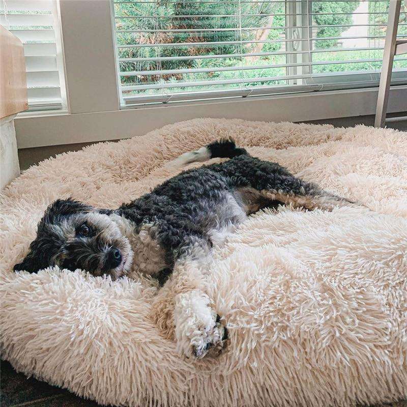 Cosy Donut Dog Bed with Raised Rim - Calming Comfort
