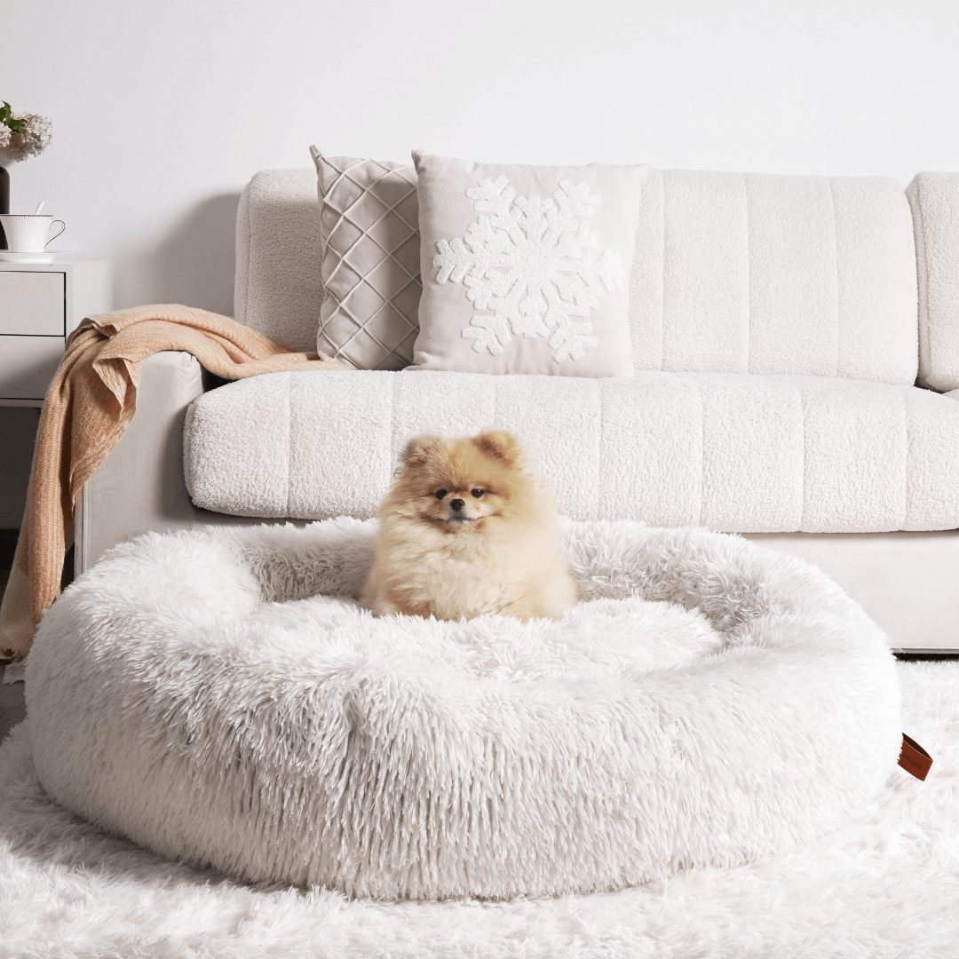 Cosy Donut Dog Bed with Raised Rim - Calming Comfort