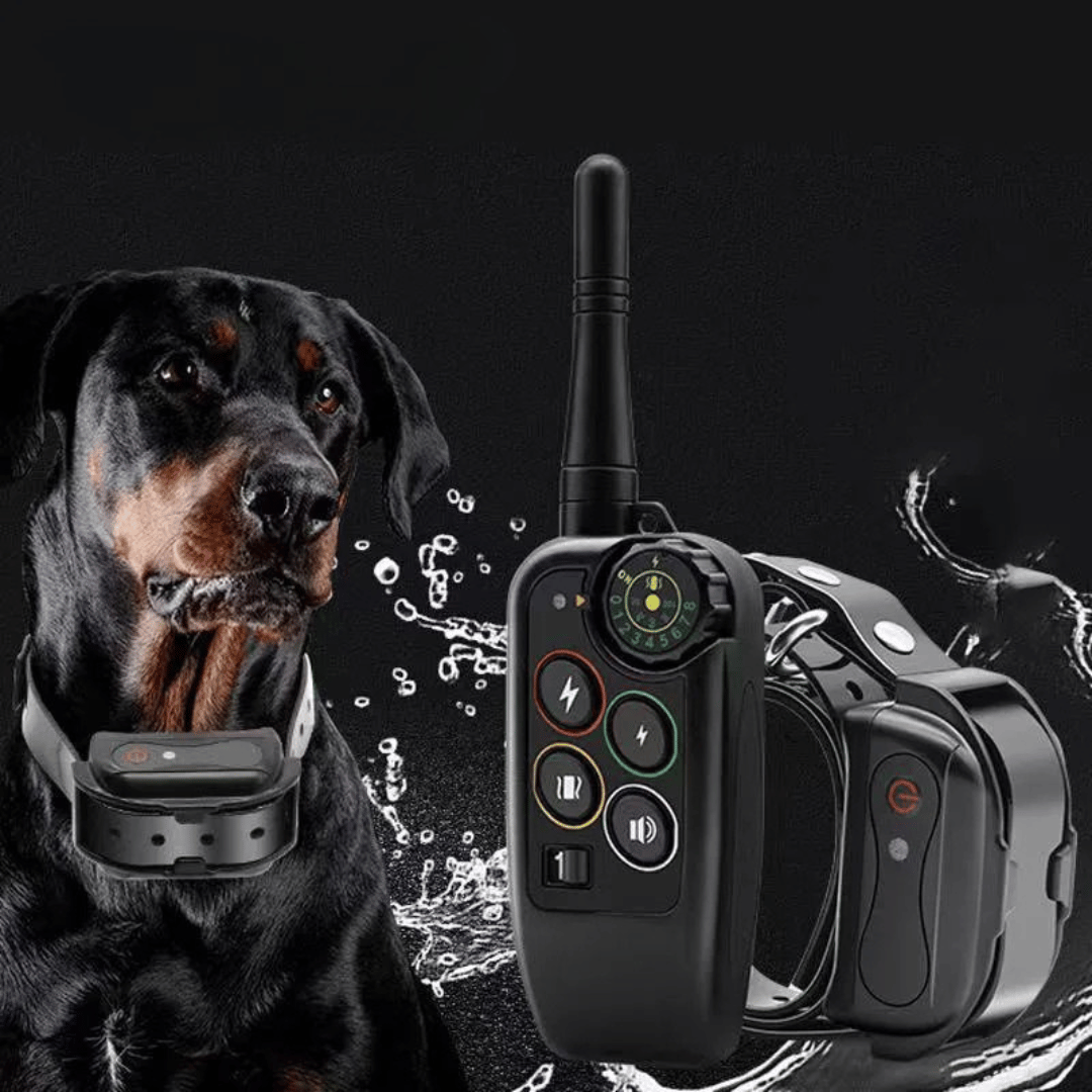 Long Range 1000m Waterproof Dog Training E-Collar