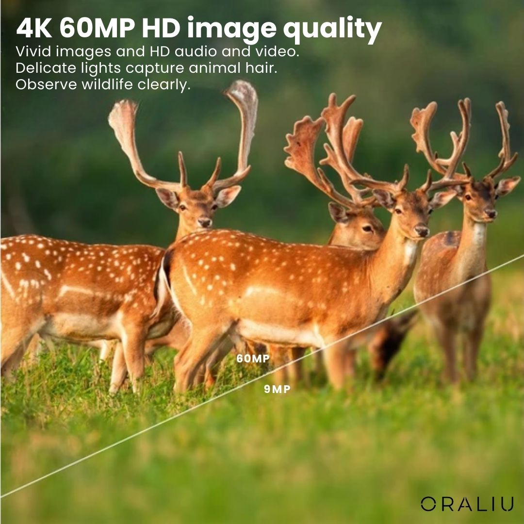 4K Ultra HD Wildlife Trail Camera with 60MP & App Control
